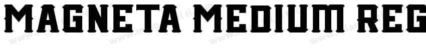 Magneta Medium Regul字体转换